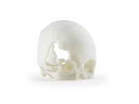 6-skull-abs-m30i