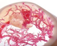 medizin-support-7062