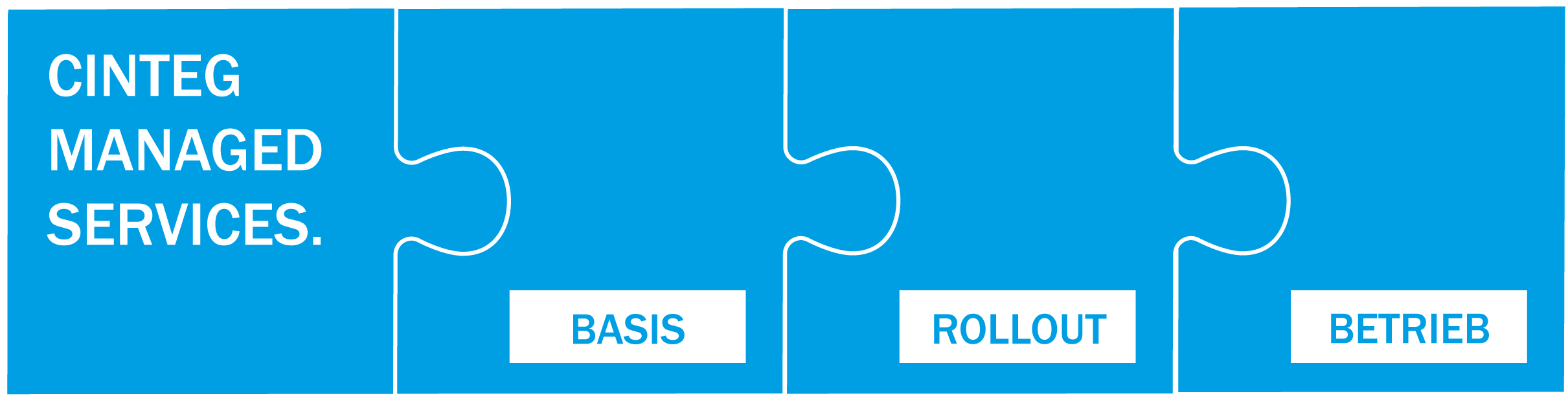 CINTEG Managed Services 01